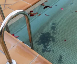 Démolition de piscines